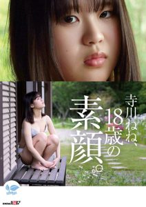 Thumbnail of post image 040